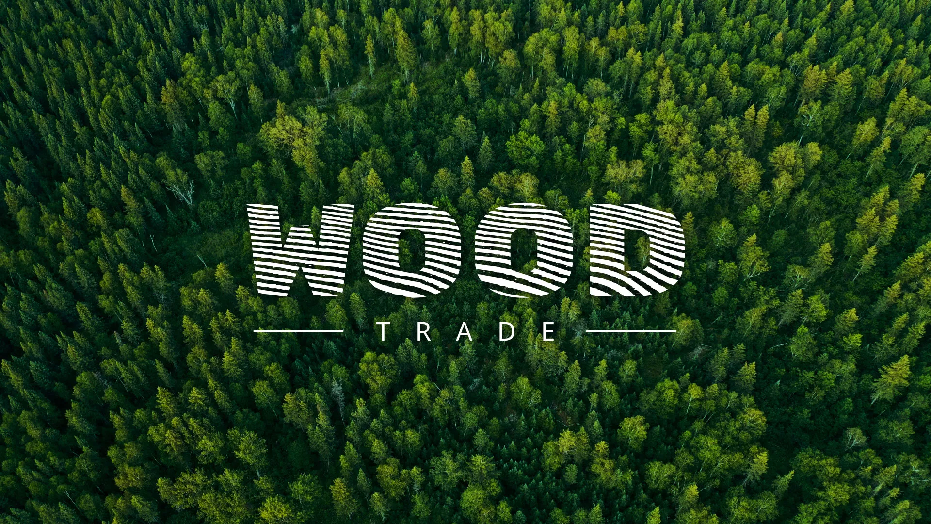 Разработка интернет-магазина компании «Wood Trade» в Высоцке